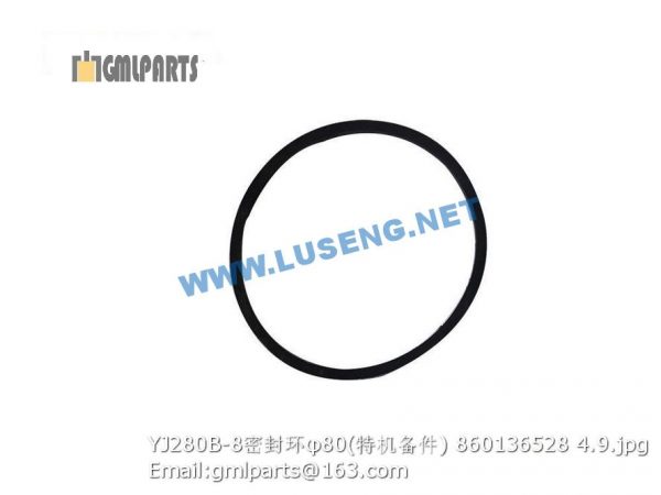 ,860136528 YJ280B-8 seal ring