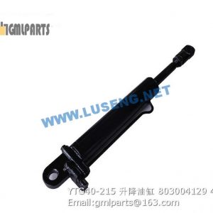 ,803004129 YTG40-215 HYDRAULIC CYLINDER XCMG