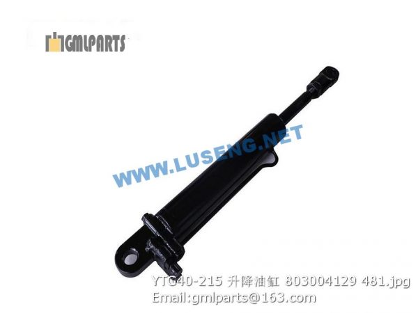 ,803004129 YTG40-215 HYDRAULIC CYLINDER XCMG