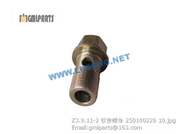 ,250100226 Z3.9.11-2 BOLT XCMG