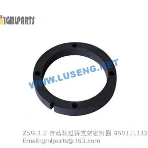 ,860111112 Z5G.1.2 drive shaft seal ring