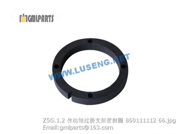,860111112 Z5G.1.2 drive shaft seal ring