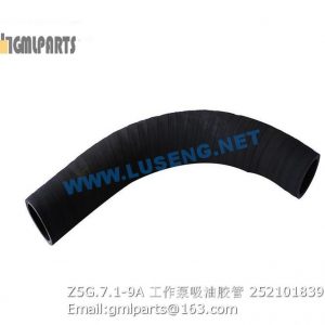 ,252101839 Z5G.7.1-9A WORKING PUMP HOSE