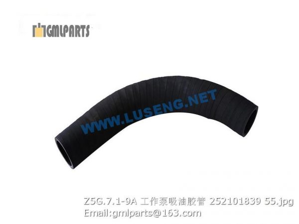 ,252101839 Z5G.7.1-9A WORKING PUMP HOSE