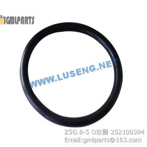 ,252100394 Z5G.8-5 O-RING XCMG