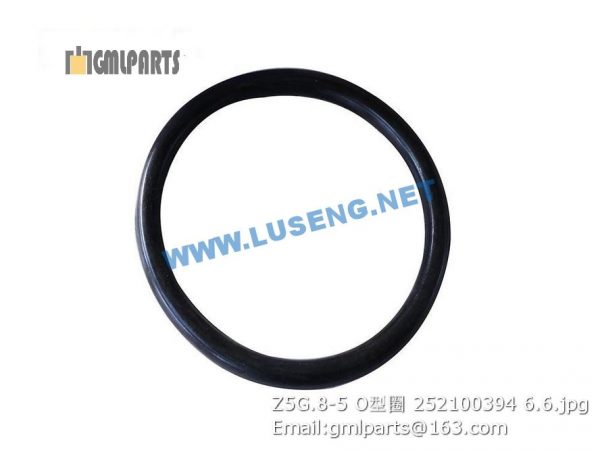 ,252100394 Z5G.8-5 O-RING XCMG