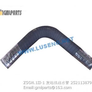 ,252113879 Z5GN.1II-1 HOSE XCMG