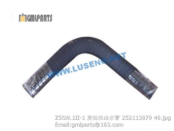 ,252113879 Z5GN.1II-1 HOSE XCMG