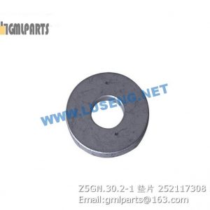 ,252117308 Z5GN.30.2-1 WASHER XCMG