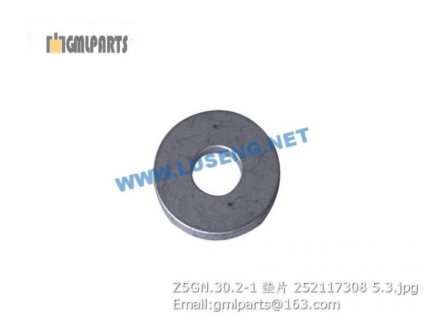 ,252117308 Z5GN.30.2-1 WASHER XCMG