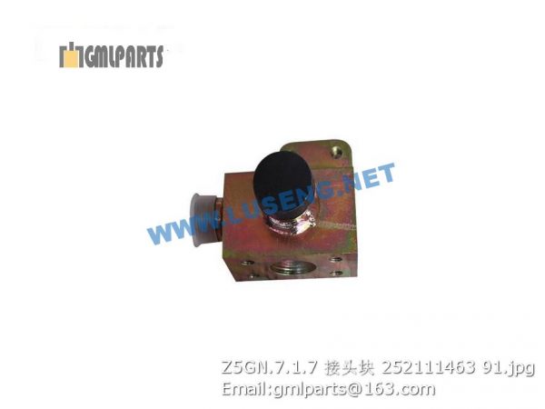 ,252111463 Z5GN.7.1.7 JOINT BLOCK