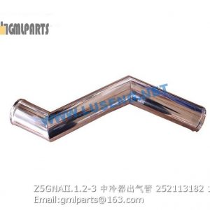 ,252113182 Z5GNAII.1.2-3 AIR PIPE
