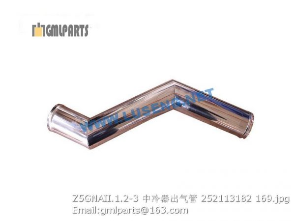 ,252113182 Z5GNAII.1.2-3 AIR PIPE