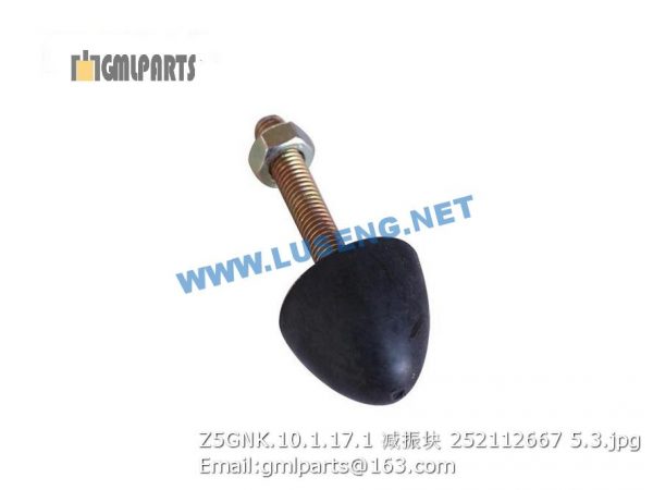 ,252112667 Z5GNK.10.1.17.1 Absorber for CAB