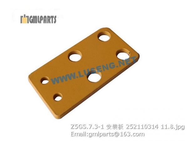 ,252110314 Z5GS.7.3-1 Plate