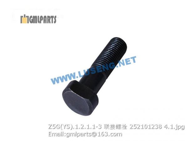 ,252101238 Z5G(YS).1.2.1.1-3 BOLT XCMG