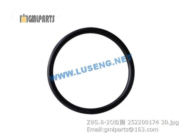 ,252200174 Z8G.8-2 O-RING