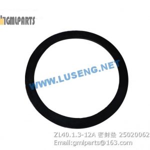 ,250200621 ZL40.1.3-12A Seal Washer