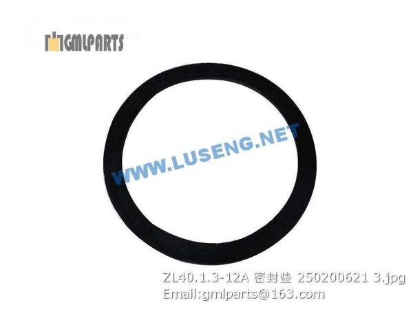 ,250200621 ZL40.1.3-12A Seal Washer