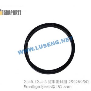 ,250200542 ZL40.12.4-8 SEAL RING