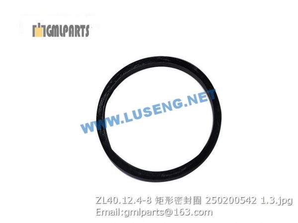 ,250200542 ZL40.12.4-8 SEAL RING