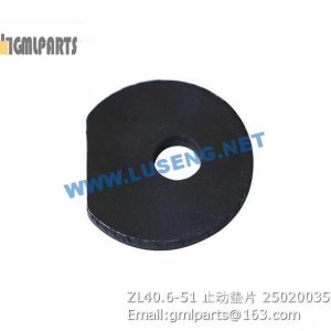 ,250200355 ZL40.6-51 LOCK WASHER