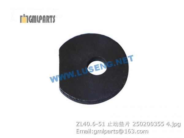,250200355 ZL40.6-51 LOCK WASHER