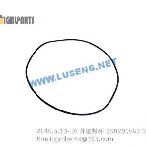 ,250200480 ZL40.6.13-1A SEAL RING XCMG
