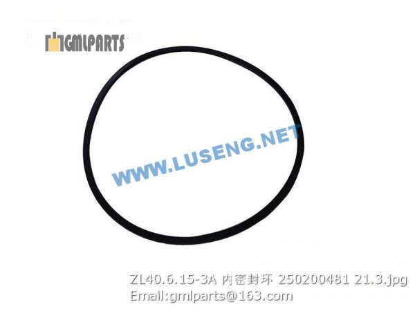 ,250200481 ZL40.6.15-3A SEAL RING