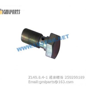 ,250200189 ZL40.8.4-1 BOLT XCMG
