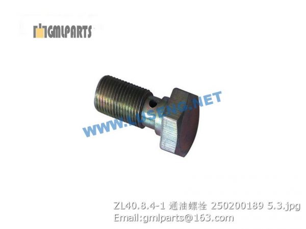 ,250200189 ZL40.8.4-1 BOLT XCMG