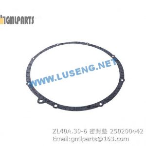 ,250200442 ZL40A.30-6 Seal Gasket