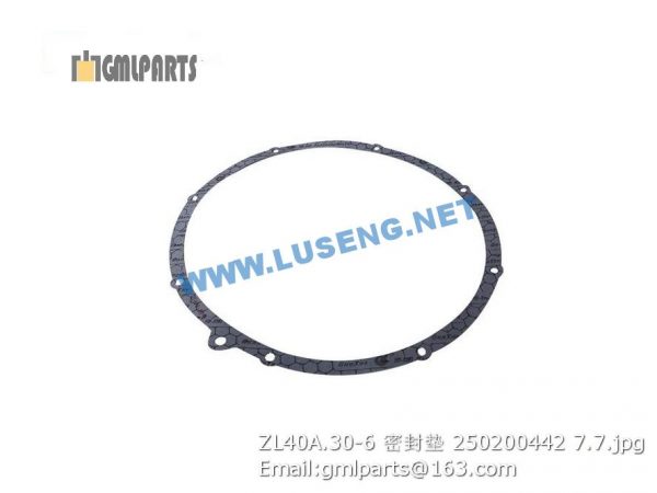 ,250200442 ZL40A.30-6 Seal Gasket