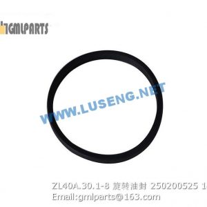 ,250200525 ZL40A.30.1-8 XCMG Seal Ring