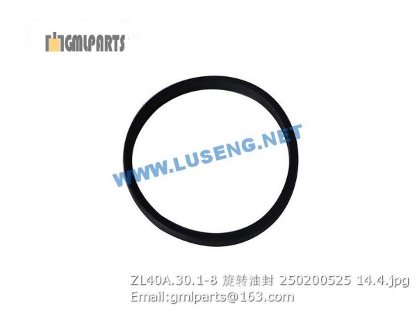 ,250200525 ZL40A.30.1-8 XCMG Seal Ring
