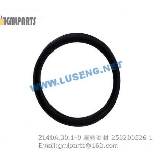 ,250200526 ZL40A.30.1-9 Rotary Seal
