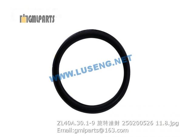,250200526 ZL40A.30.1-9 Rotary Seal