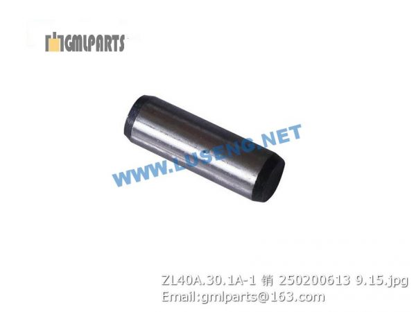 ,250200613 ZL40A.30.1A-1 PIN XCMG