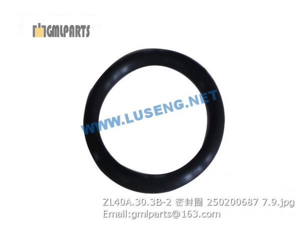 ,250200687 ZL40A.30.3B-2 seal ring