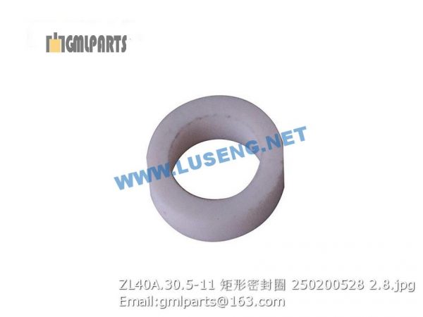 ,250200528 ZL40A.30.5-11 Seal Ring