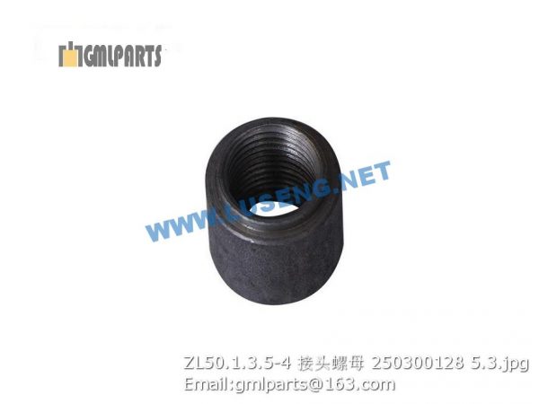 ,250300128 ZL50.1.3.5-4 NUT XCMG