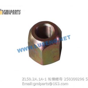 ,250300296 ZL50.2A.1A-1 RIM NUT