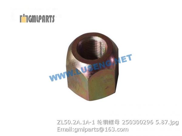 ,250300296 ZL50.2A.1A-1 RIM NUT