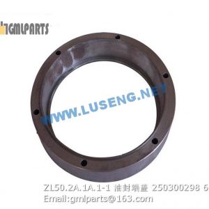 ,250300298 ZL50.2A.1A.1-1 sealing cover