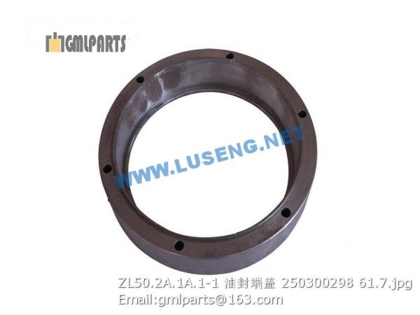 ,250300298 ZL50.2A.1A.1-1 sealing cover