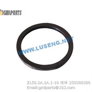 ,250300306 ZL50.2A.1A.1-10 Ring