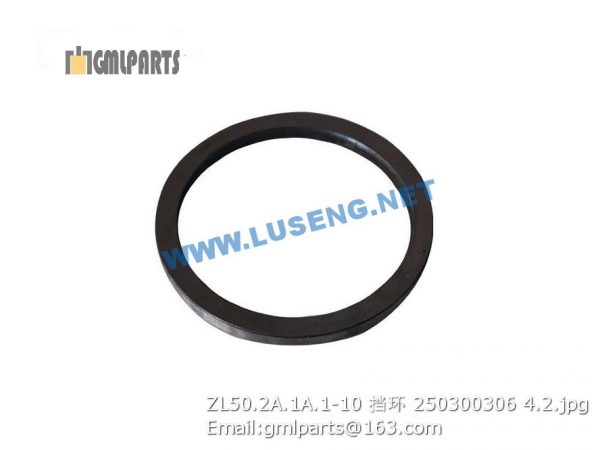 ,250300306 ZL50.2A.1A.1-10 Ring