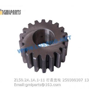 ,250300307 ZL50.2A.1A.1-11 PLANETARY GEAR XCMG