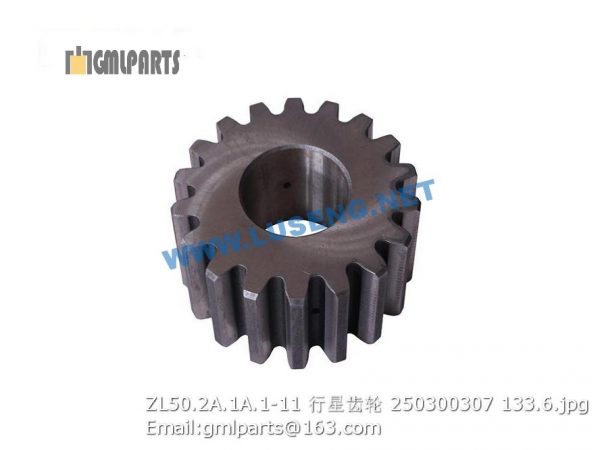 ,250300307 ZL50.2A.1A.1-11 PLANETARY GEAR XCMG