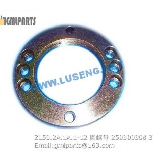 ,250300308 ZL50.2A.1A.1-12 ROUND NUT XCMG